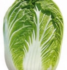 CHINESE CABBAGE KBZ LATE 3906