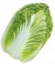 CHINESE CABBAGE KBZ EARLY 3905